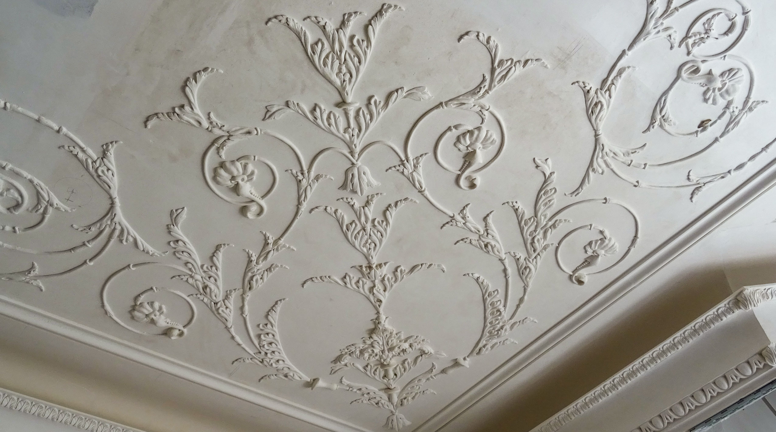 Foliage Ornamentation in Decorative Plaster